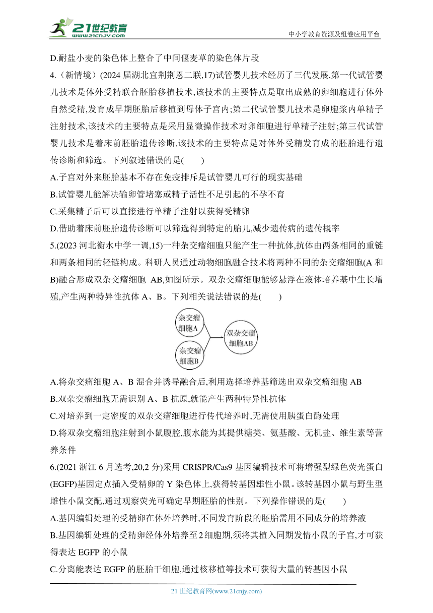 2025新教材生物高考第一轮基础练习--阶段检测练 选择性必修3 生物技术与工程（含答案）