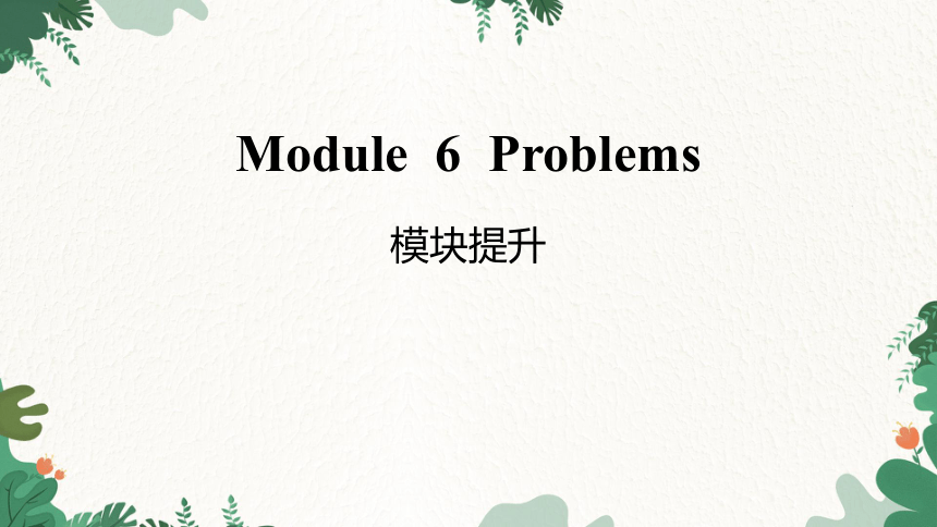 Module 6 Problems模块提升课件(共13张PPT)