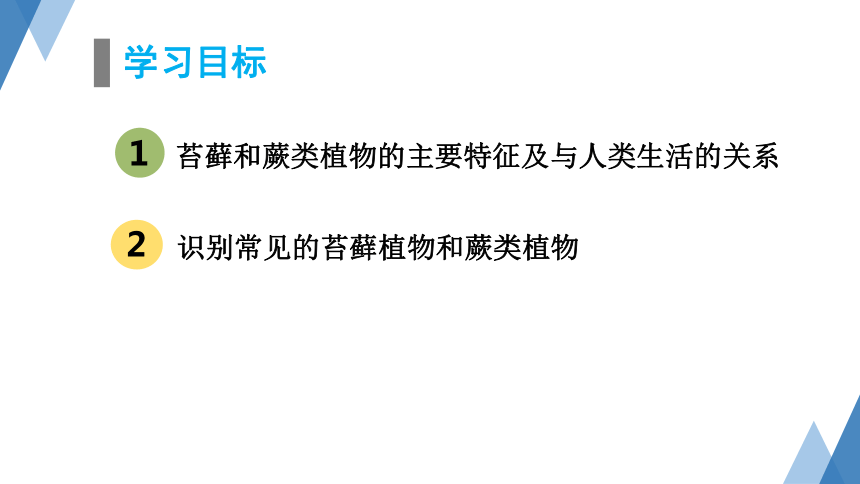 1.3.4苔藓植物和蕨类植物 课件(共26张PPT）2023-2024学年冀少版生物七年级上册