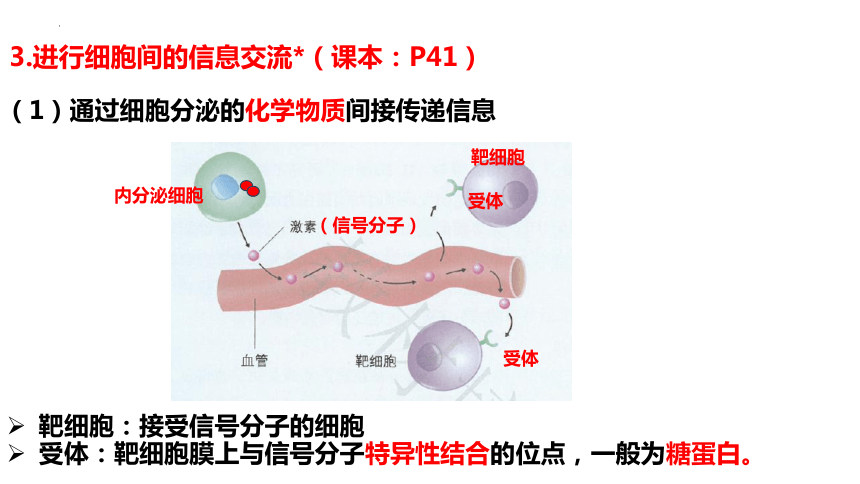 3.1细胞膜的结构和功能课件（共37张PPT） 高一上学期生物人教版必修1