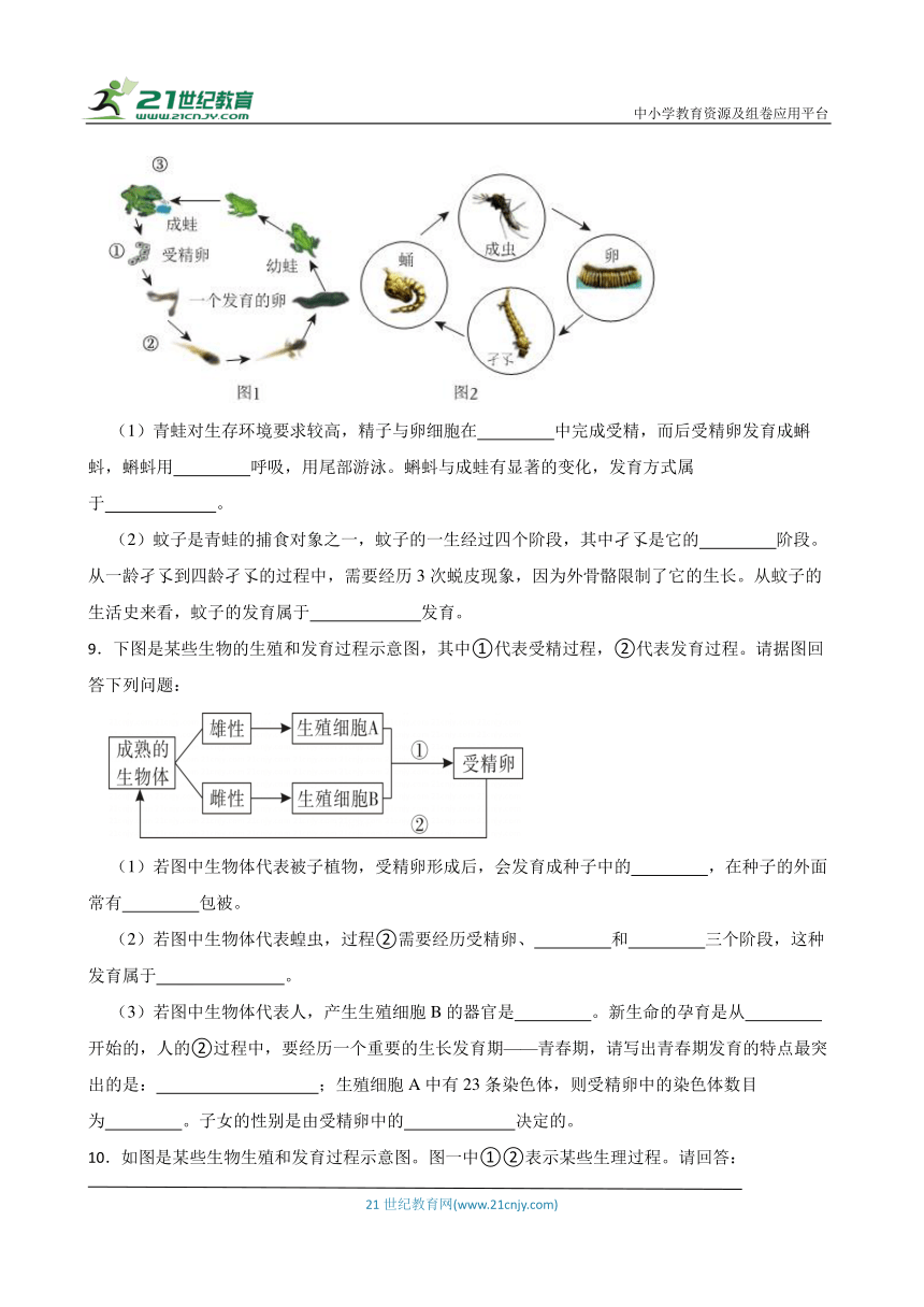 2024年中考生物读图理解专题复习：生物的生殖与发育（含答案）