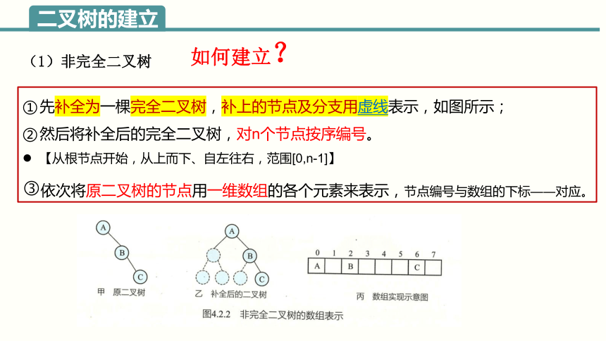 4.2 二叉树操作 4.3抽象数据类型 课件(共37张PPT)2023—2024学年浙教版（2019）高中信息技术选修1