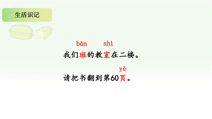 13 画杨桃 课件(共41张PPT)