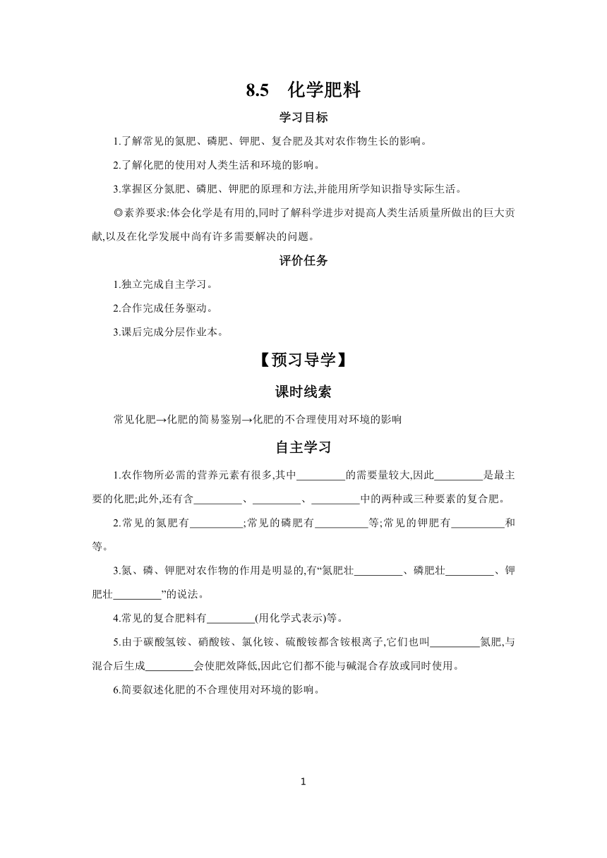 8.5　化学肥料   学案 （含答案） 2023-2024学年初中化学科粤版九年级下册