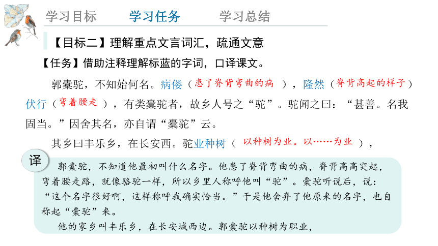 11.《种树郭橐驼传》 课件(共23张PPT)  2023-2024学年高一语文统编版选择性必修下册