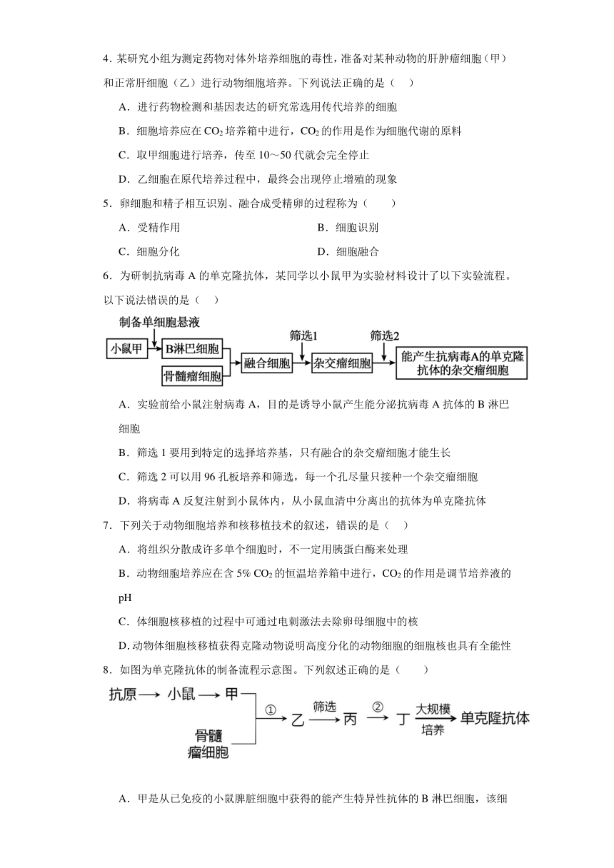 2.2利用动物细胞工程改良动物细胞（必刷练）-2023-2024学年高二生物（沪科版2020选择性必修3）（解析版）