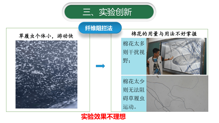 2.2.4 单细胞生物——观察草履虫 实验说课课件-2023-2024学年人教版生物七年级上册(共22张PPT)