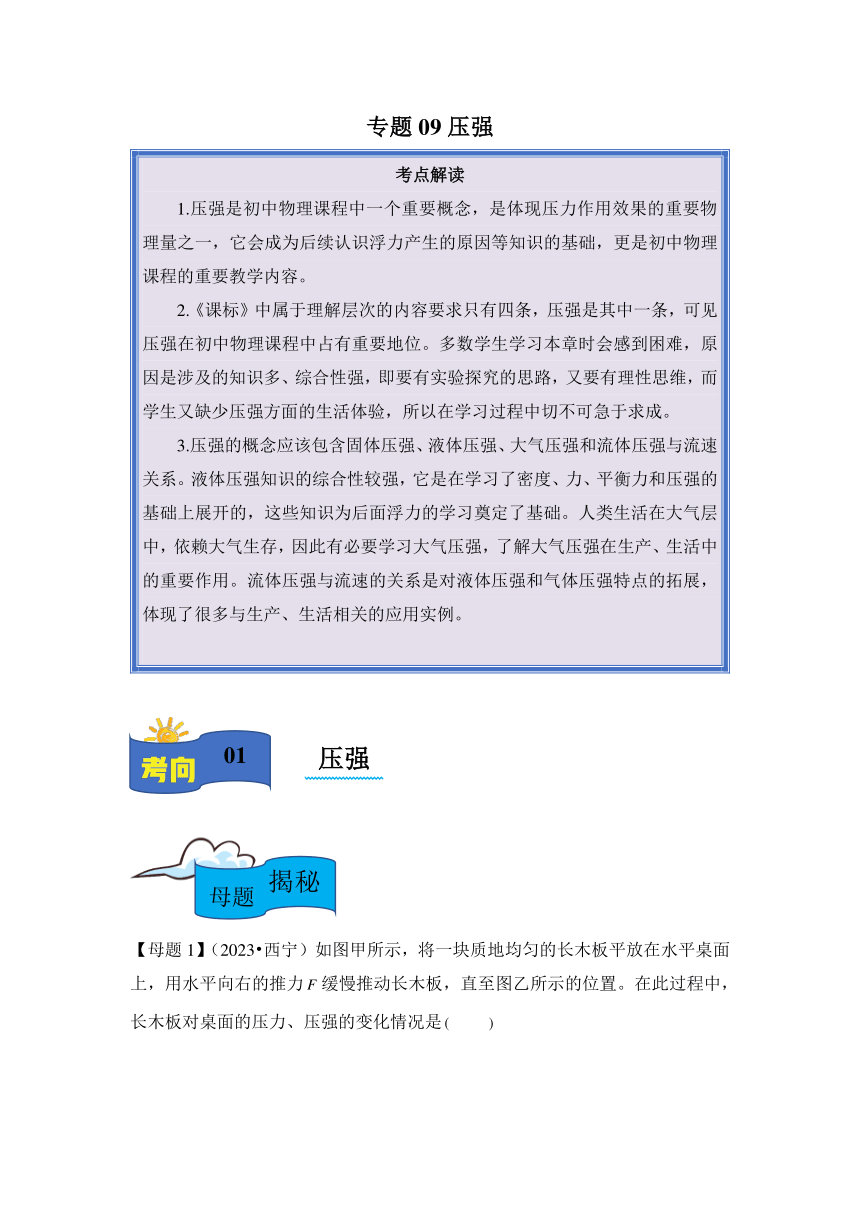 2024年中考物理母题解密专题09 压强 液体压强讲义（含答案）