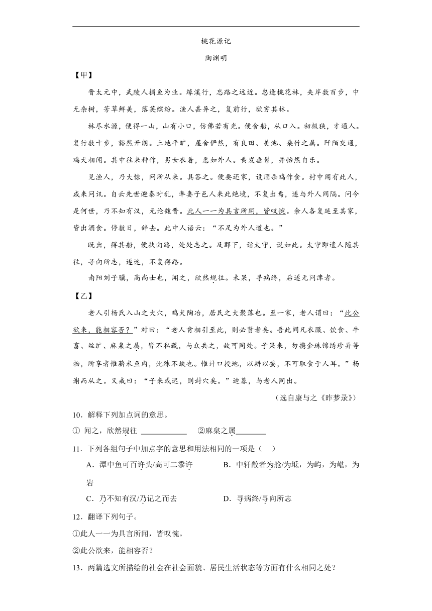 2024年九年级中考语文专题复习：《桃花源记》对比阅读