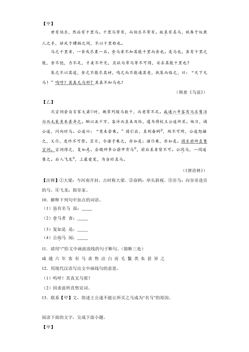 2024年九年级中考语文专题复习：《马说》对比阅读（含答案）