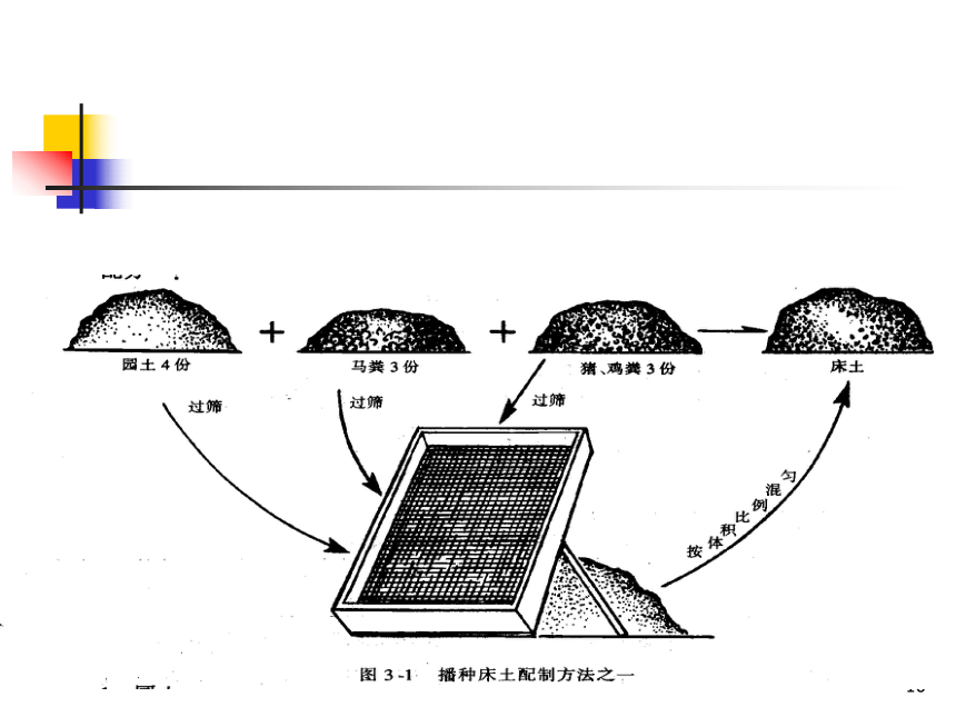 项目3.1 瓜类蔬菜生产--黄瓜-2 课件(共68张PPT)- 《蔬菜生产技术》同步教学（机械工业版）