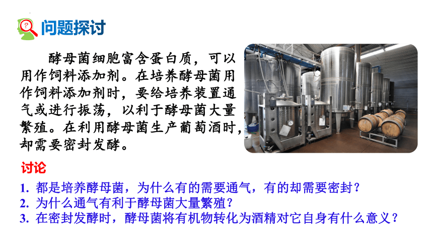 5.3细胞呼吸的原理和应用课件(共41张PPT2份视频)-人教版必修1