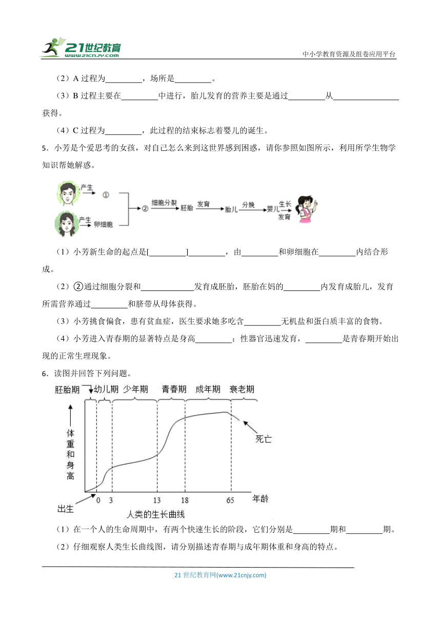 2024年中考生物读图理解专题复习：人的生殖与发育（含答案）