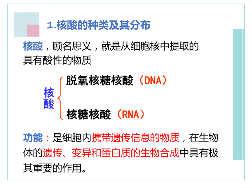2.5核酸是遗传信息的携带者课件(共26张PPT)-人教版必修1