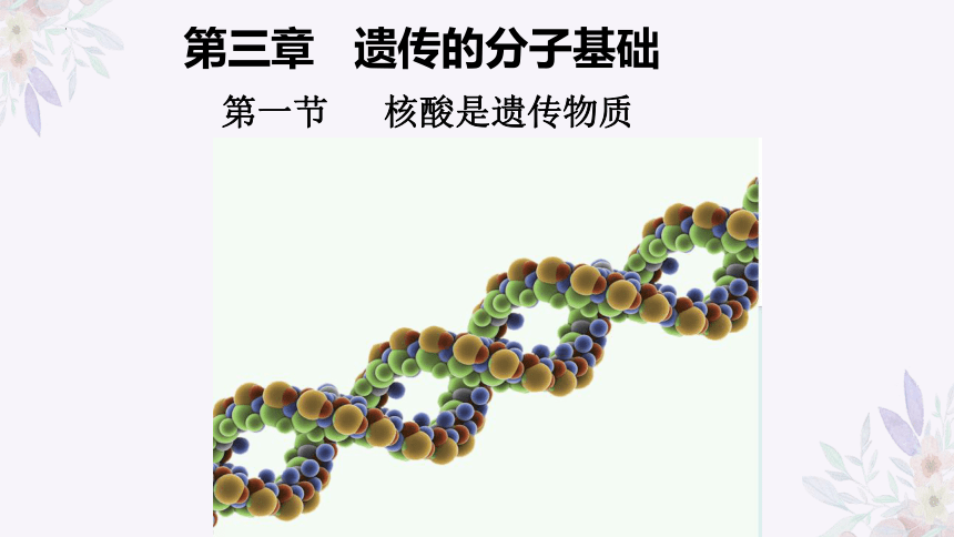3.1核酸是遗传物质（共30张PPT）浙科版2019必修2