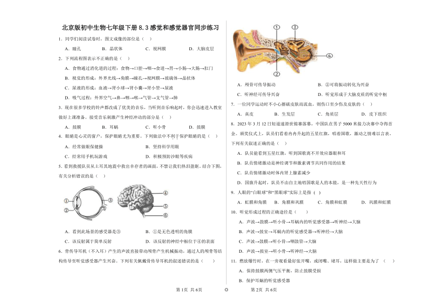 8.3感觉和感觉器官同步练习（含答案）北京版初中生物七年级下册