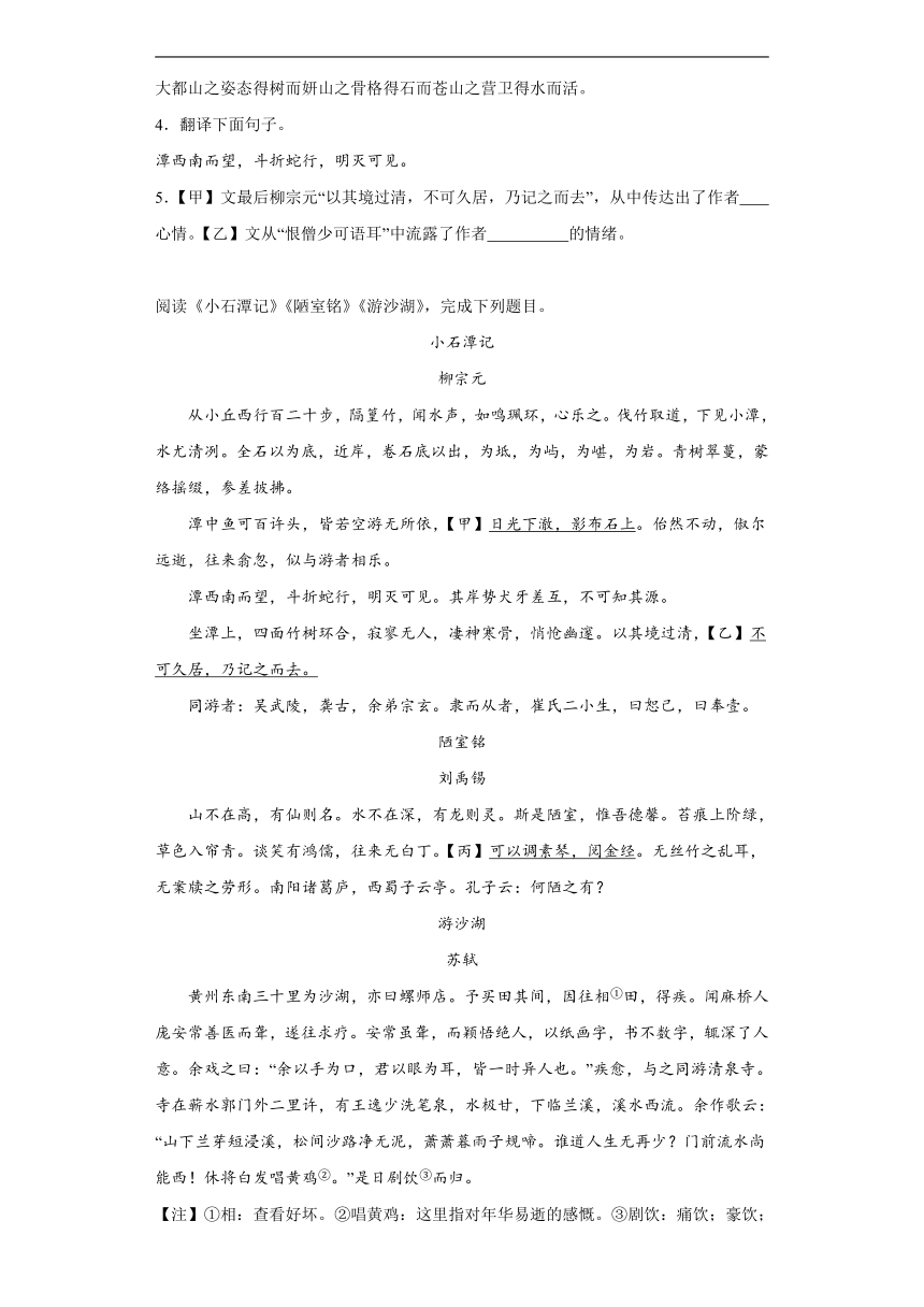 2024年九年级中考语文专题复习：《小石潭记》对比阅读（含答案）