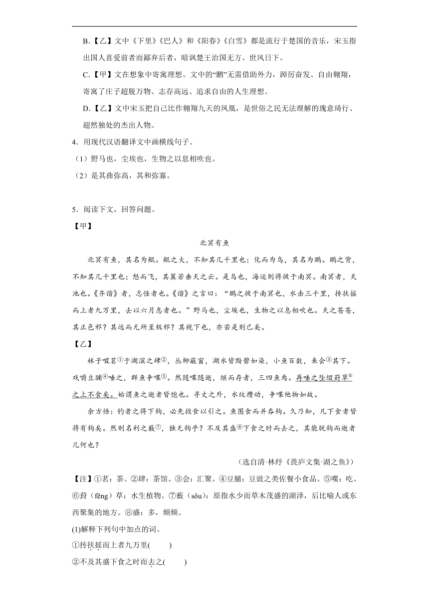 2024年九年级中考语文专题复习：《北冥有鱼》对比阅读（含答案）