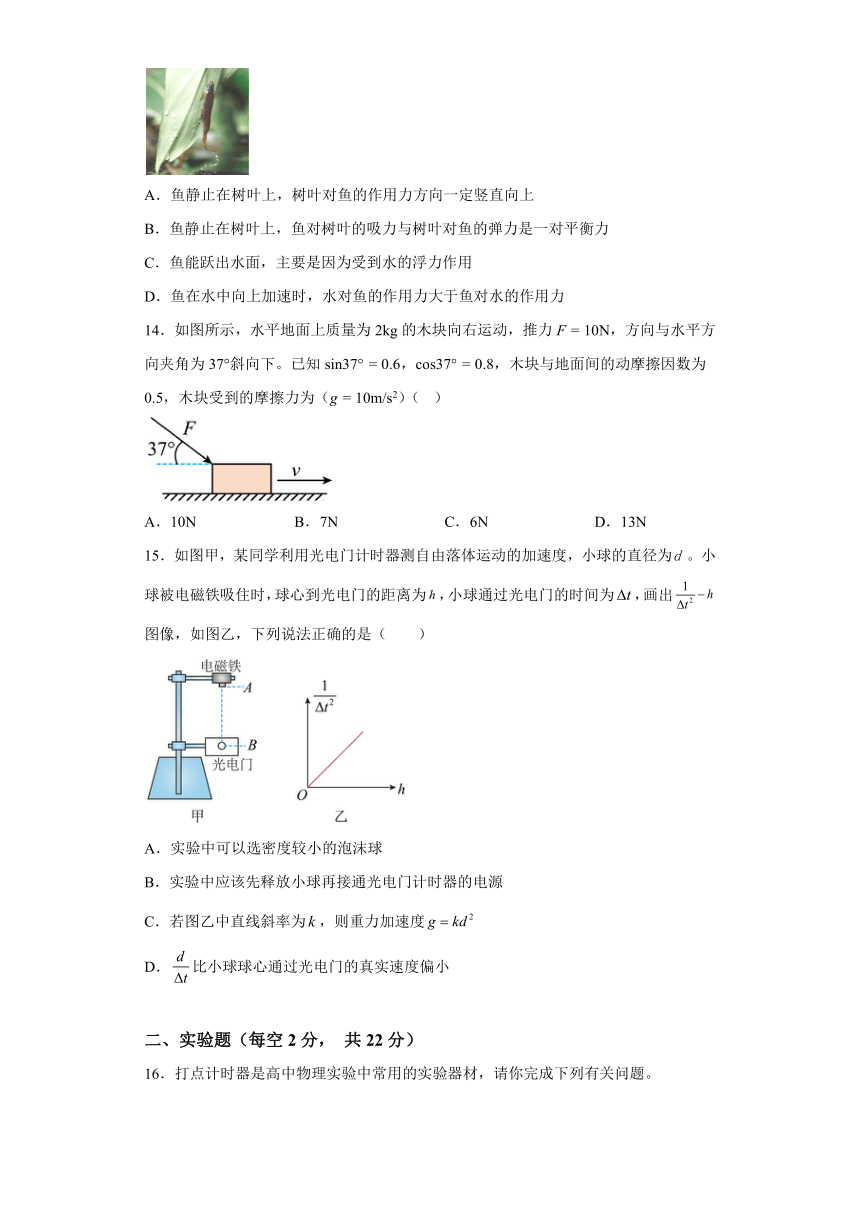 浙江省杭州重点中学2023-2024学年高一上学期期中考试物理试题（含解析）