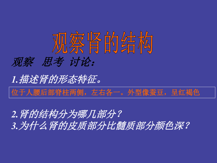 4.5 体内物质的动态平衡（3课时）（课件 72ppt）