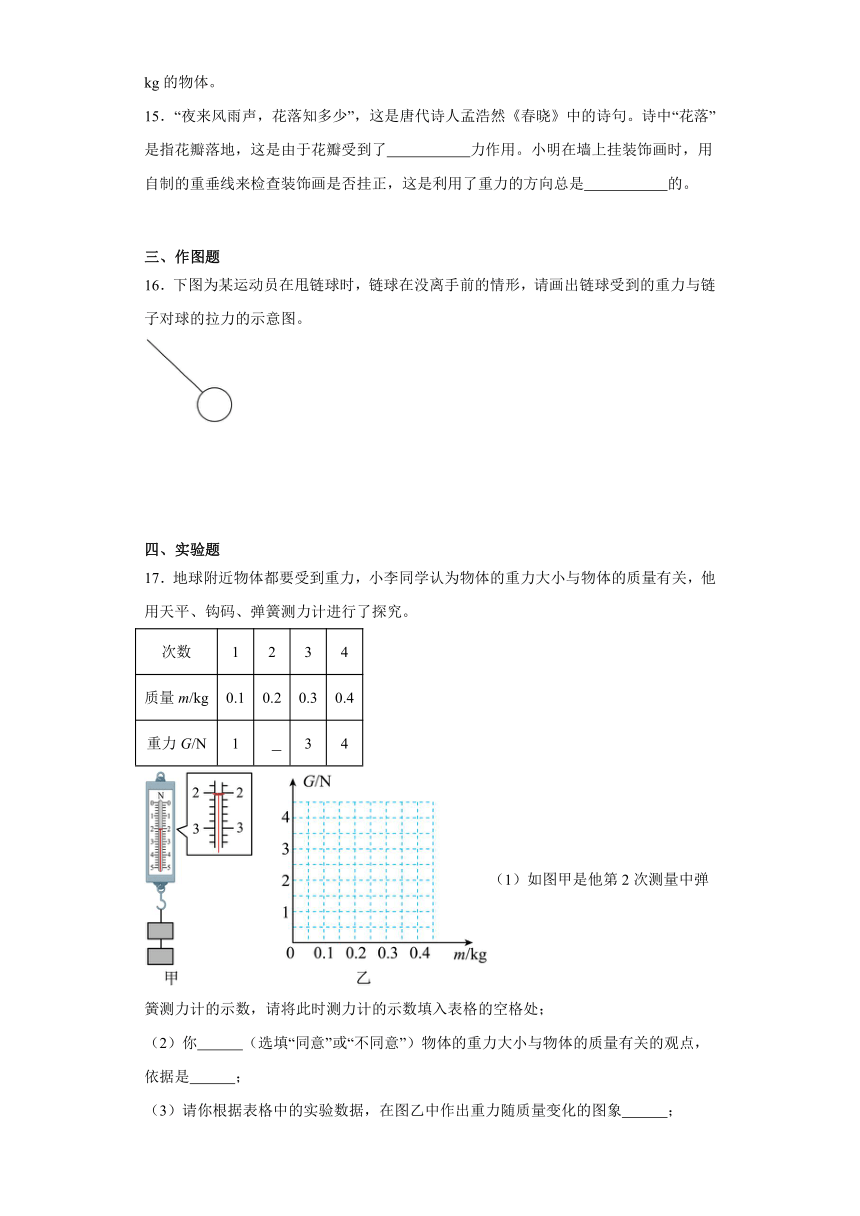 7.3 重力 讲义 （含答案） 2023-2024学年人教版八年级物理下册