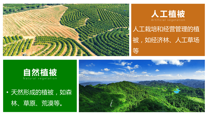 高中地理湘教版（2019）必修一5.1主要植被与自然环境课件（共49张ppt）