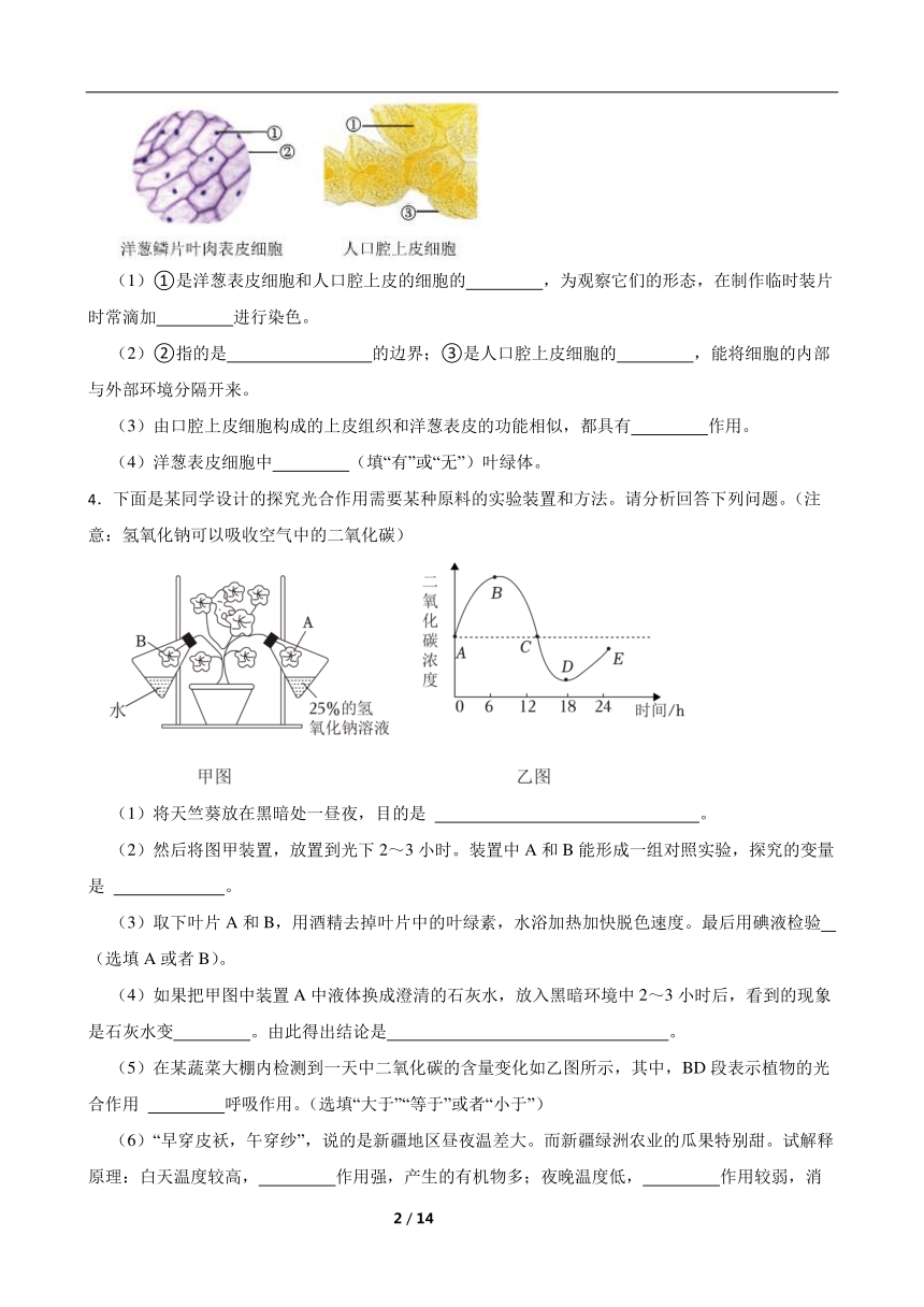 2024年中考生物专题复习：实验探究题（含答案）