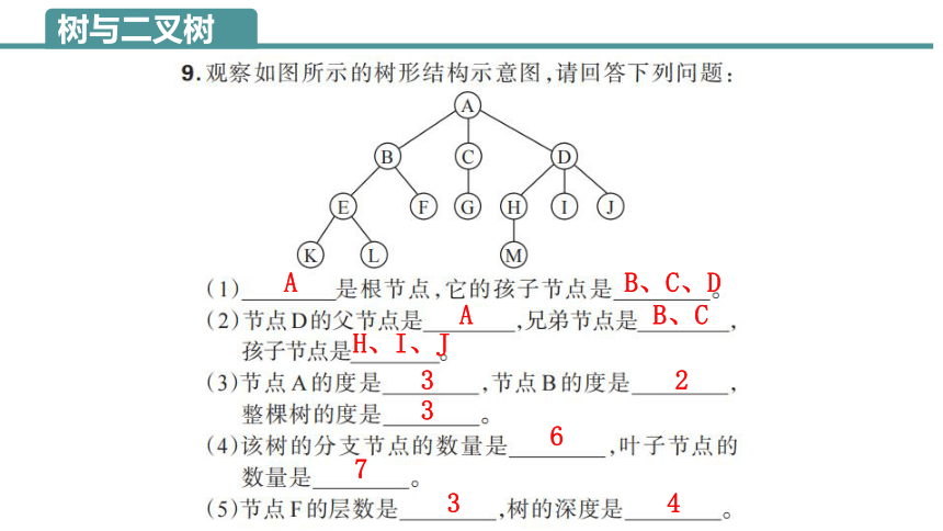 4.2 二叉树操作 4.3抽象数据类型 课件(共37张PPT)2023—2024学年浙教版（2019）高中信息技术选修1