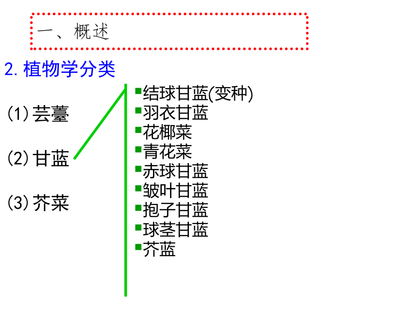 项目5.1 白菜类蔬菜生产--概述 课件(共53张PPT)- 《蔬菜生产技术》同步教学（机械工业版）