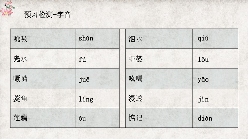 8.1《荷花淀》课件 (共44张PPT)统编版高中语文选择性必修中册