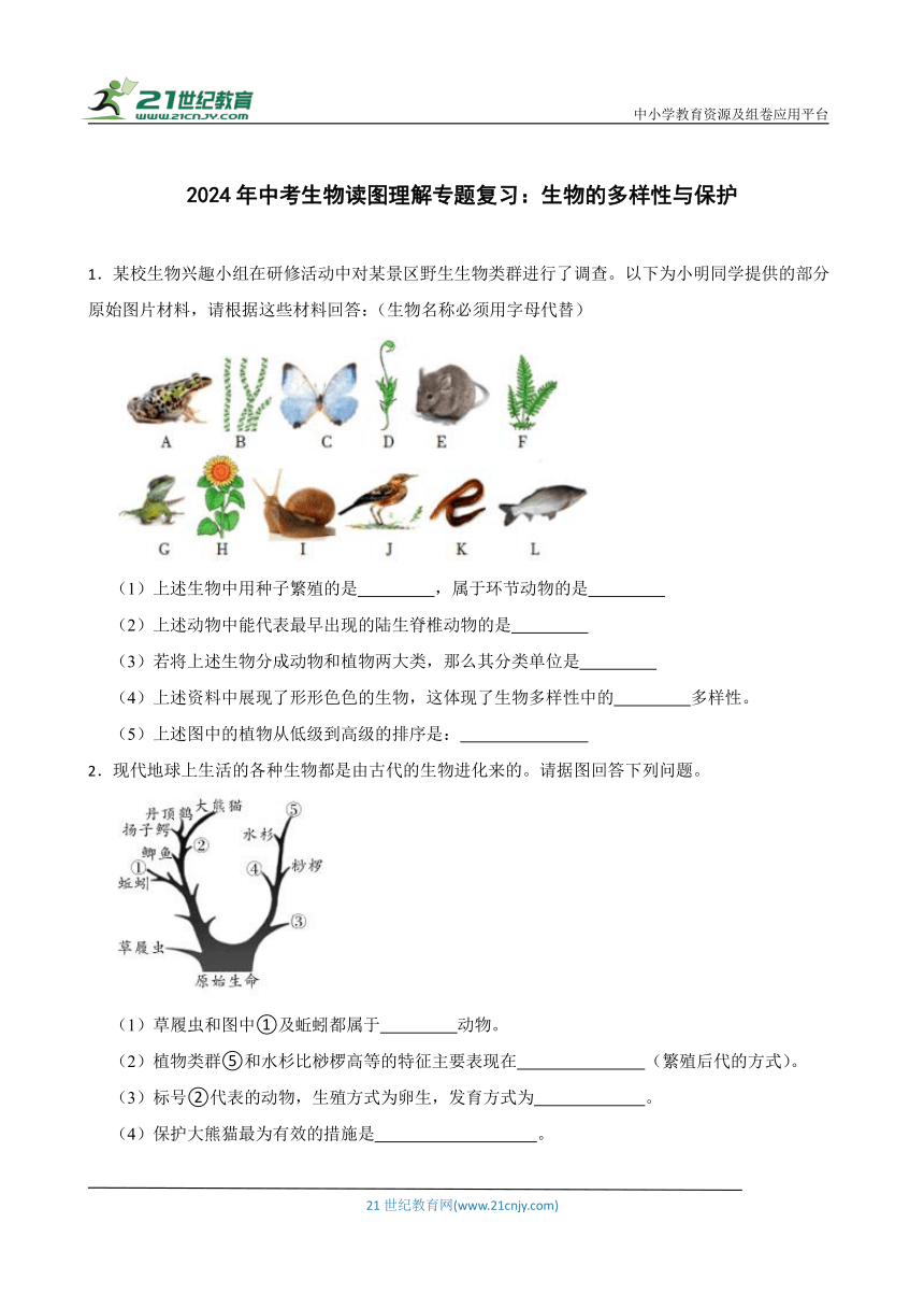 2024年中考生物读图理解专题复习：生物的多样性与保护（含答案）