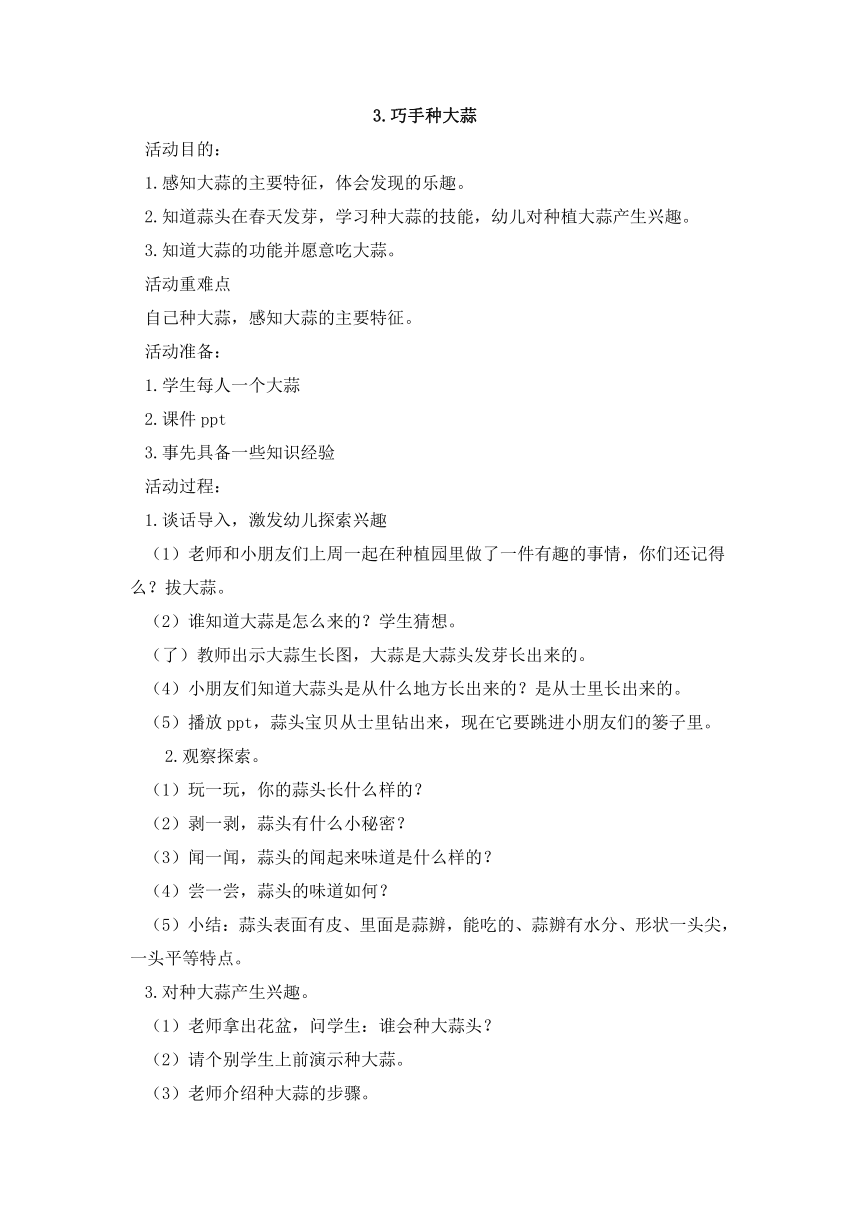 人民版劳动一年级下册 3.巧手种大蒜  教案