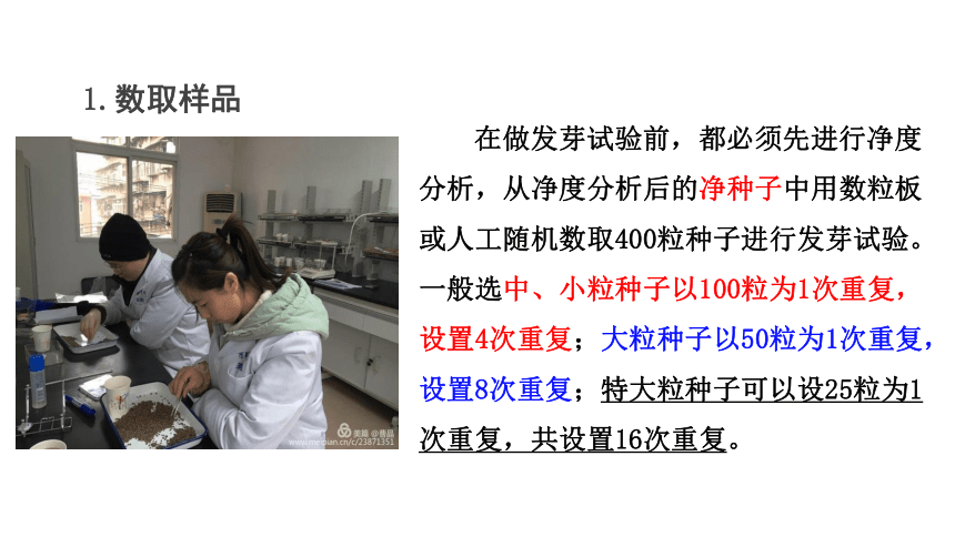 2.1.2蔬菜种子发芽率测定 课件(共41张PPT)-《蔬菜生产技术》同步教学（中国农业出版社）