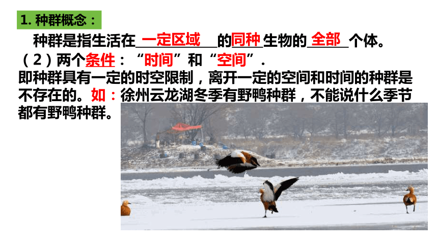 1.1种群的数量特征课件(第一课时）(共44张PPT)2023-2024学年高二上学期生物人教版选择性必修2