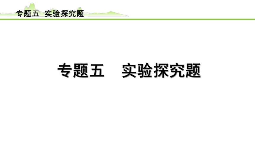 2024年中考物理复习课件 (共82张PPT) ---专题五 实验探究题