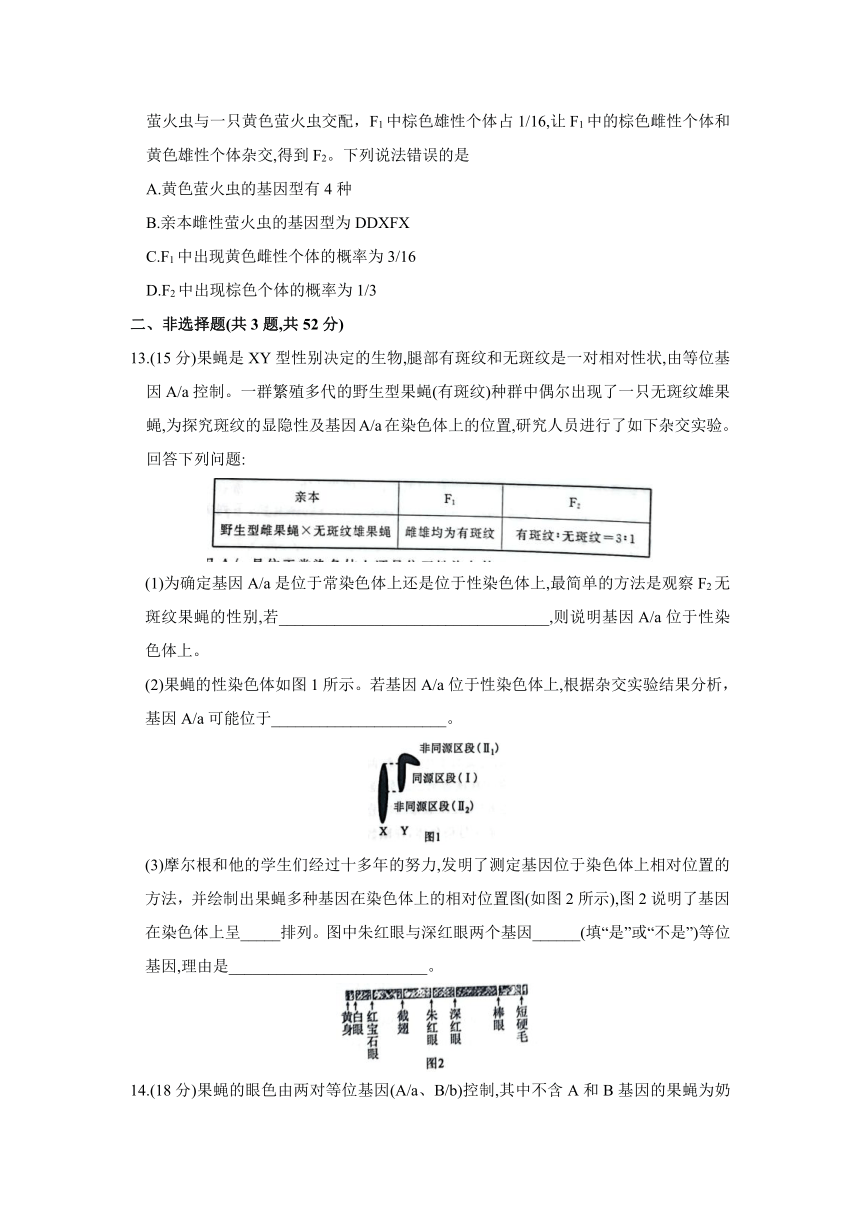 二轮复习专题卷：遗传的基本规律和伴性遗传（含解析）