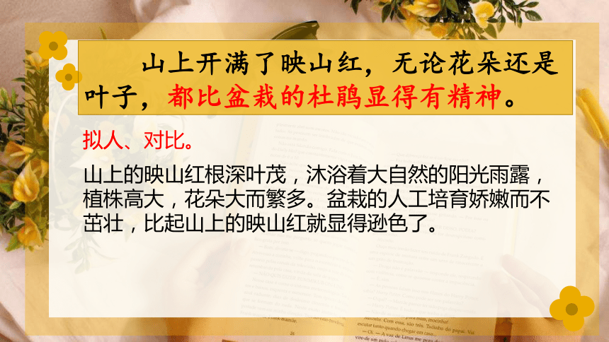 17  记金华的双龙洞  课件(共34张PPT)