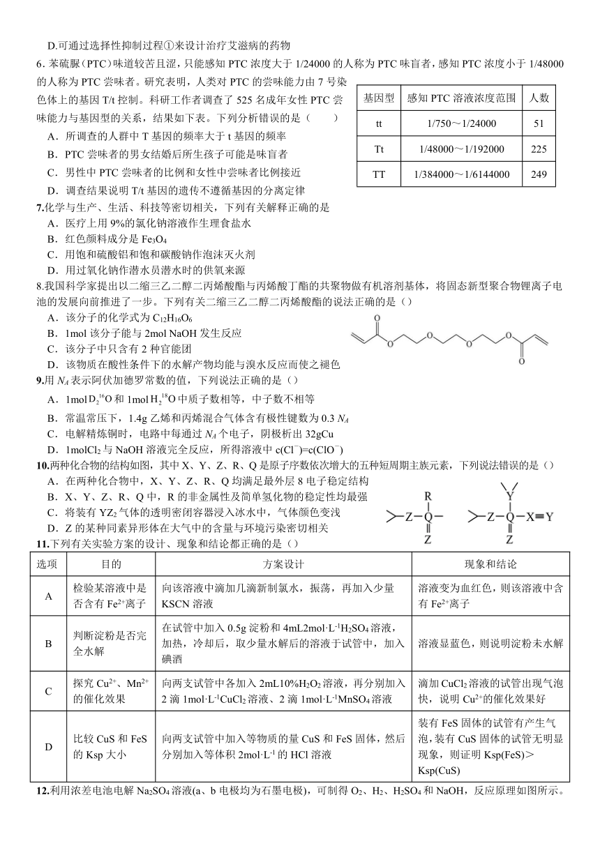 2024届四川省内江市威远中学校高三下学期第一次模拟考试理科综合试题（含答案）