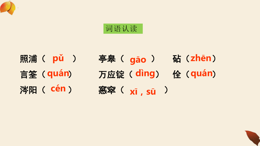 9.《说“木叶”》课件(共28张PPT) 统编版高中语文必修下册