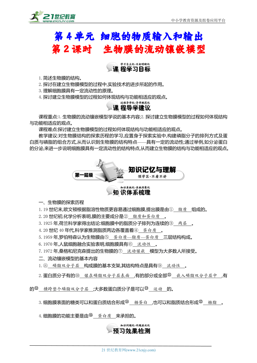 人教版（2019）高中生物必修1导学案：第4单元 细胞的物质输入和输出 第2课时 生物膜的流动镶嵌模型（含答案）