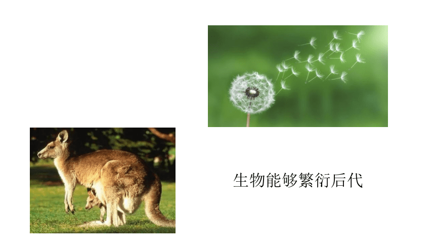 2021-2022学年苏科版七年级生物上册1.1.1  生物与生物学  课件(共25张PPT)