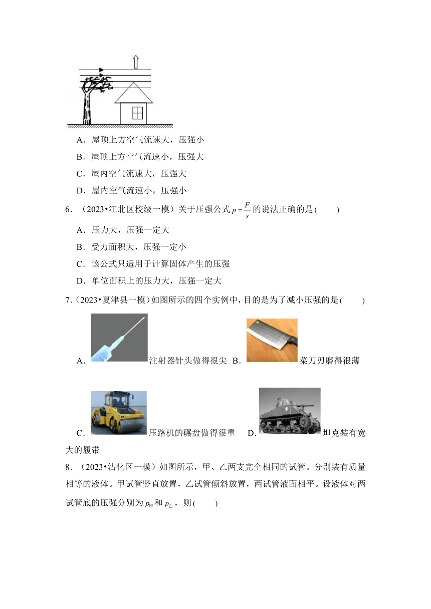 2024年中考物理母题解密专题09 压强 液体压强考点精练（含答案）