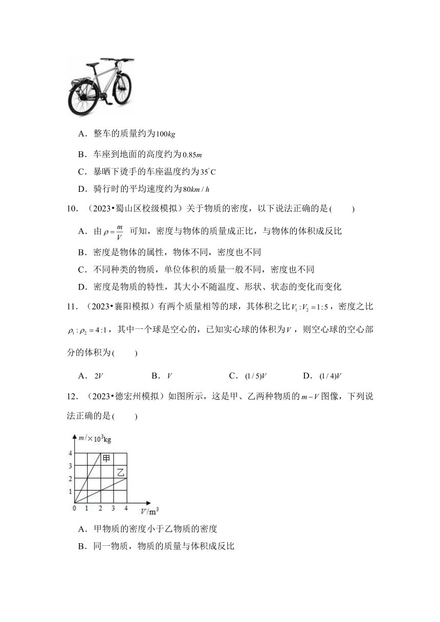 2024年中考物理母题解密专题05 质量和密度考点精练（含答案）