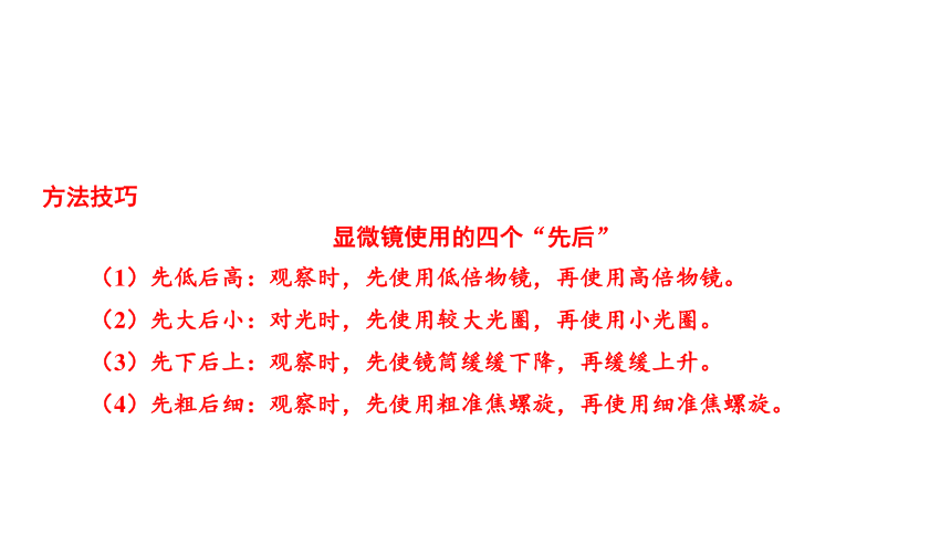 2024年中考生物一轮复习考点探究 第1讲 细胞是生命活动的基本单位课件(共34张PPT)