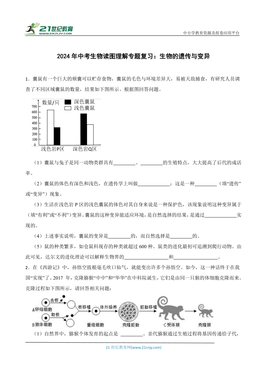 2024年中考生物读图理解专题复习：生物的遗传与变异（含答案）