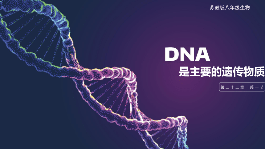 8.22.1 DNA是主要的遗传物质课件(共27张PPT) 苏教版生物八年级下册