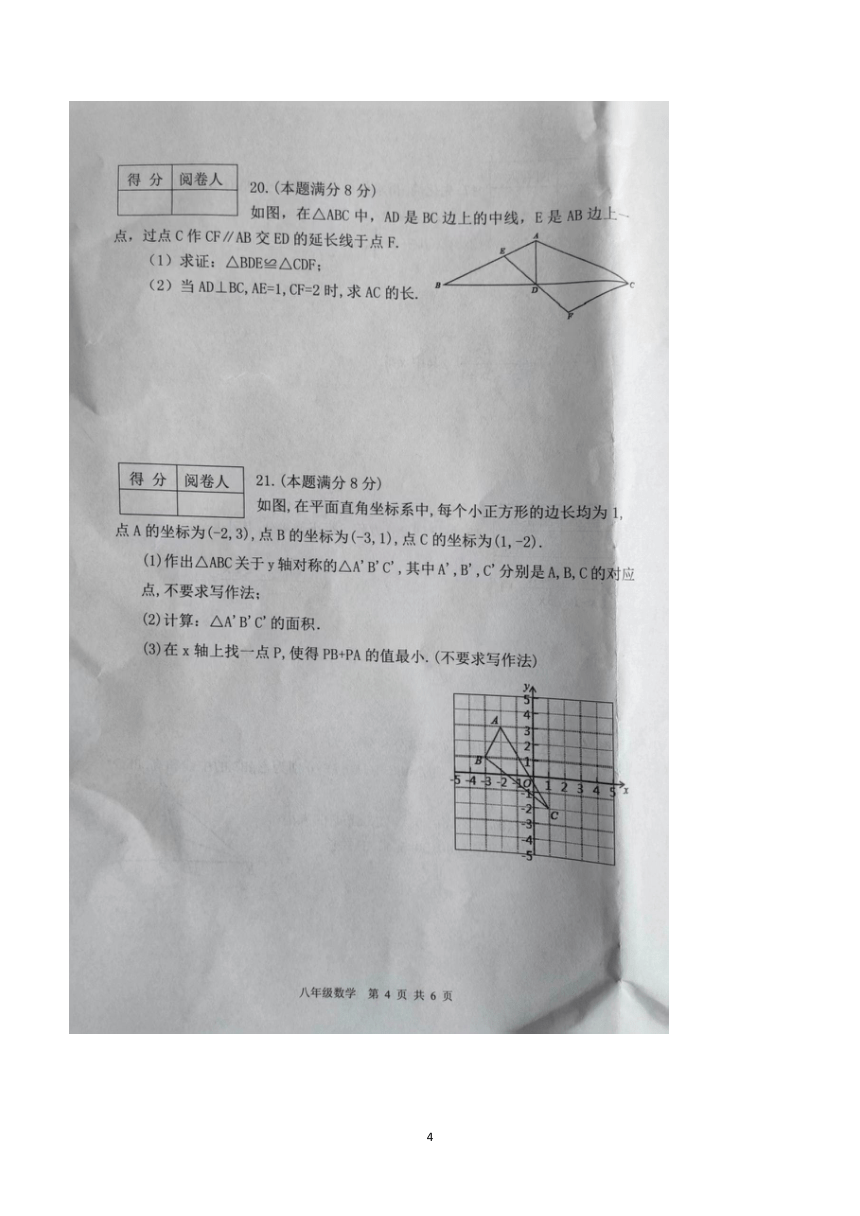 陕西省商洛市商南县2023-2024学年八年级上学期1月期末数学试题(图片版含答案)