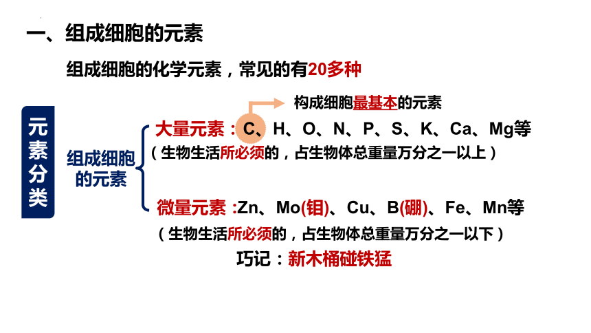 2.1细胞中的元素和化合物课件-(共31张PPT)人教版必修一