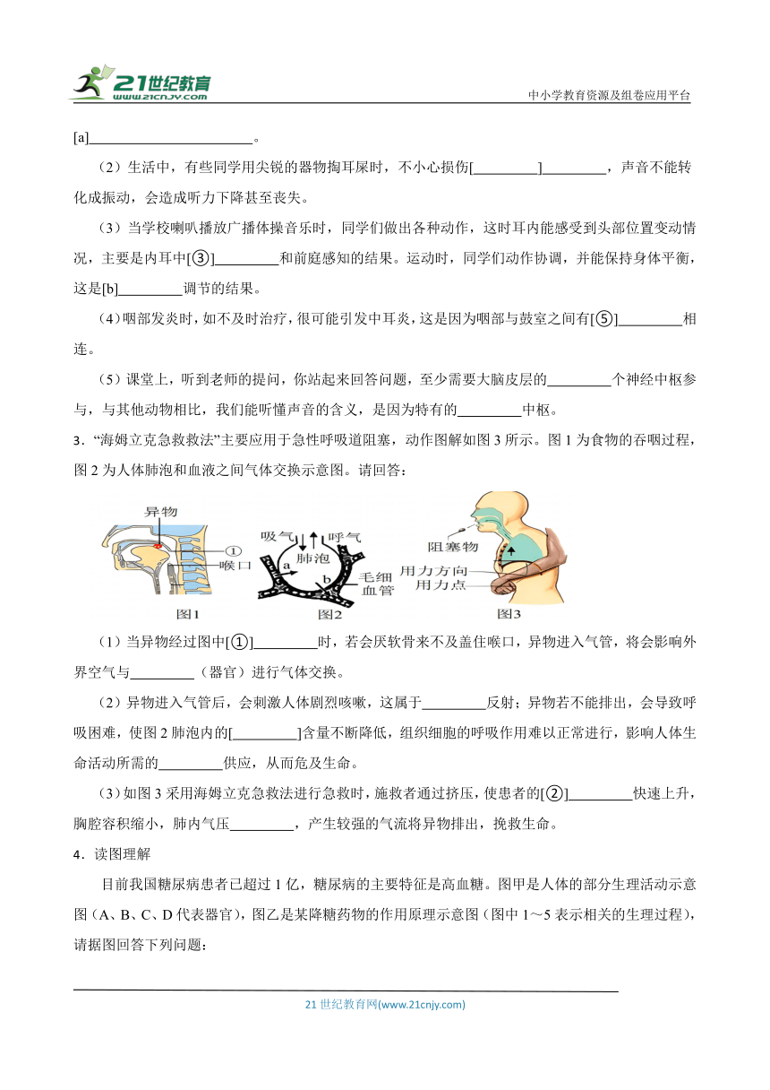 2024年中考生物读图理解专题复习：人体生命活动的调节（含答案）