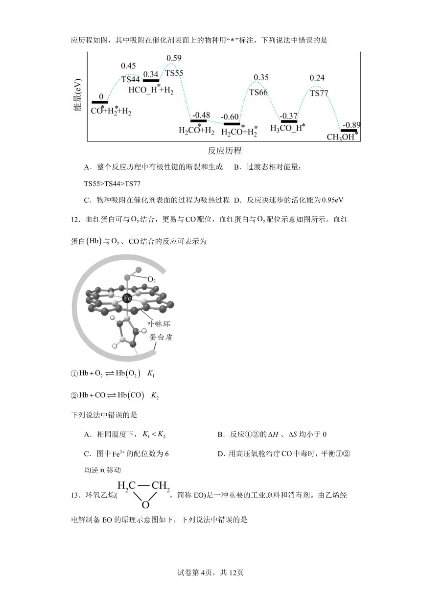 辽宁省沈阳市2024届高三一模化学试题（含解析）